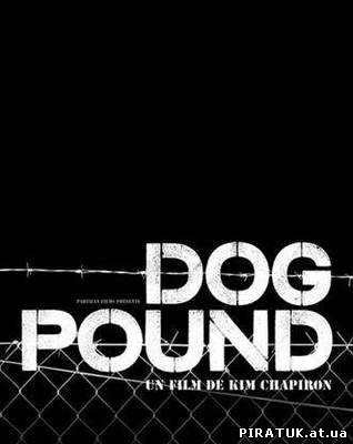 Загорода для собак / Загон для собак / Dog Pound (2010/700Mb/DVDRip/Eng)
