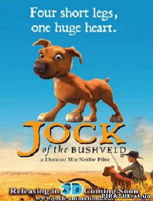 Джок / Jock (2011) DVDRip бесплатно
