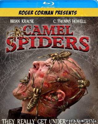 Верблюжі павуки / Верблюжьи пауки / Camel Spiders (2012) HDRip бесплатно