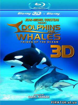 Дельфіни і кити 3D / Dolphins and Whales 3D: Tribes of the Ocean (2008)