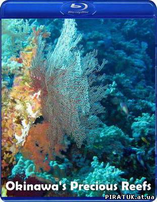 Безцінні рифи острова Окінава / Скачать Бесценные рифы острова Окинава / Okinawa's Precious Reefs (1998)