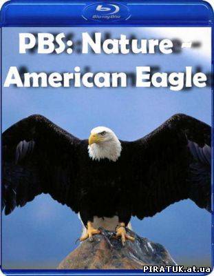 Nature - American Eagle / Скачать PBS: Nature - American Eagle (2008)